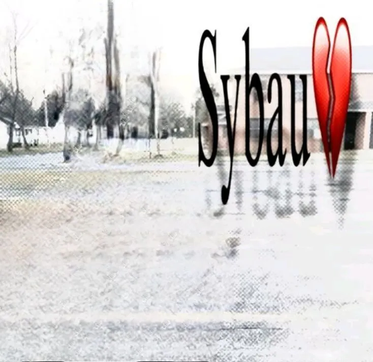 sybau template